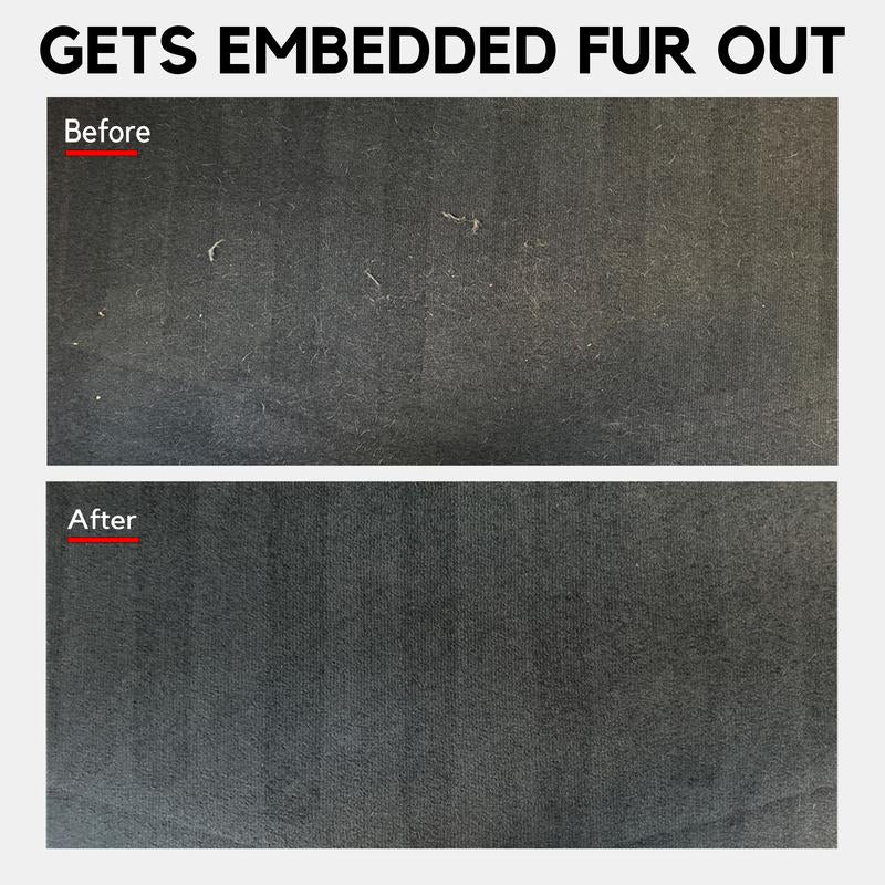 Detail Demands Mini Pet Hair Remover for Furniture, Couch, Car Mat and Carpet Scraper- Effective Lint Remover, Lint Brush, Dog and Cat Hair Remover, Reusable Pet Furremover and Pet Hair Removal Tool