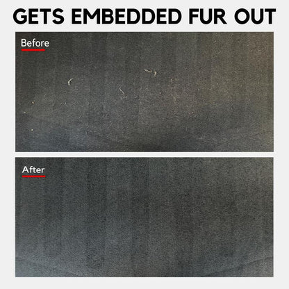 Detail Demands Mini Pet Hair Remover for Furniture, Couch, Car Mat and Carpet Scraper- Effective Lint Remover, Lint Brush, Dog and Cat Hair Remover, Reusable Pet Furremover and Pet Hair Removal Tool